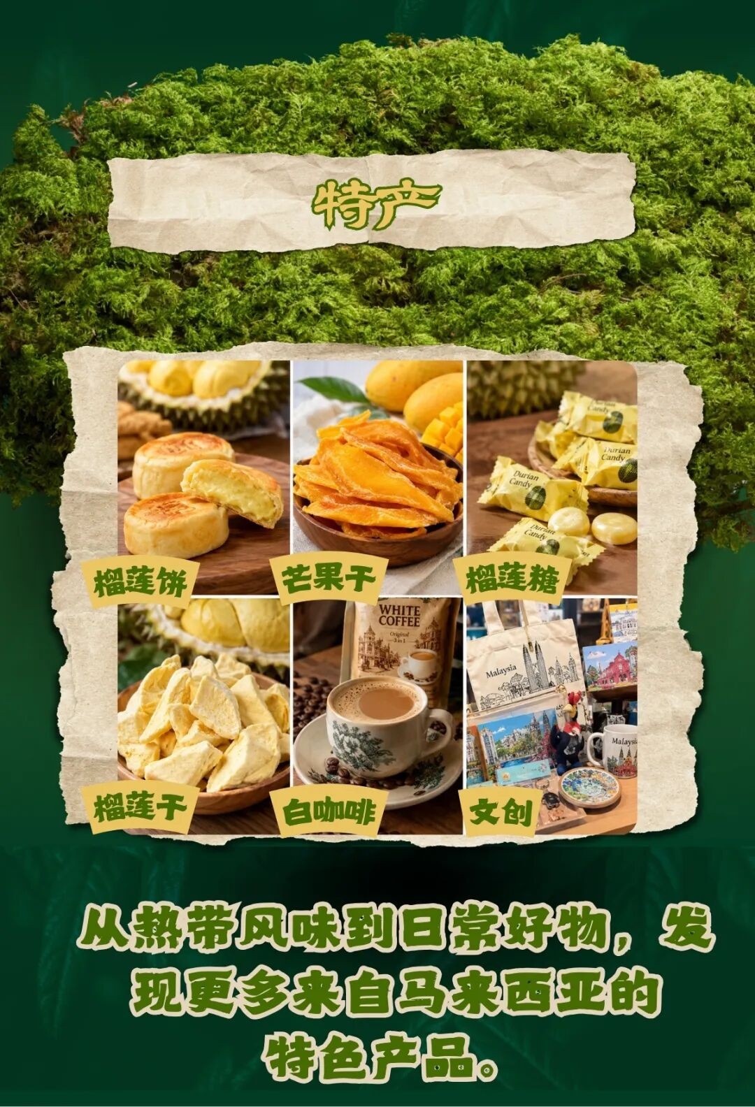 03.jpg
